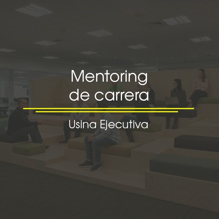 Desarrollo de mentores
